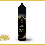 Vaponaute Paris - Into The Wild