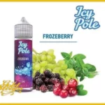 Icy Pole - Frozberry