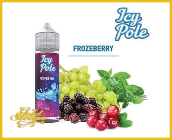Icy Pole - Frozberry